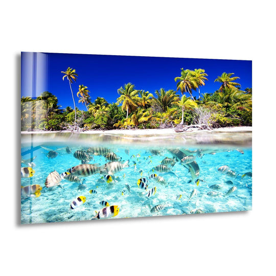 Tropical Fish & Palm Trees Glass Wall Art - MyPhotoStation