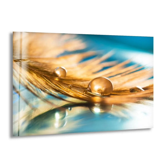 Golden drop on a feather rests in negative space, a serene glass wall print.