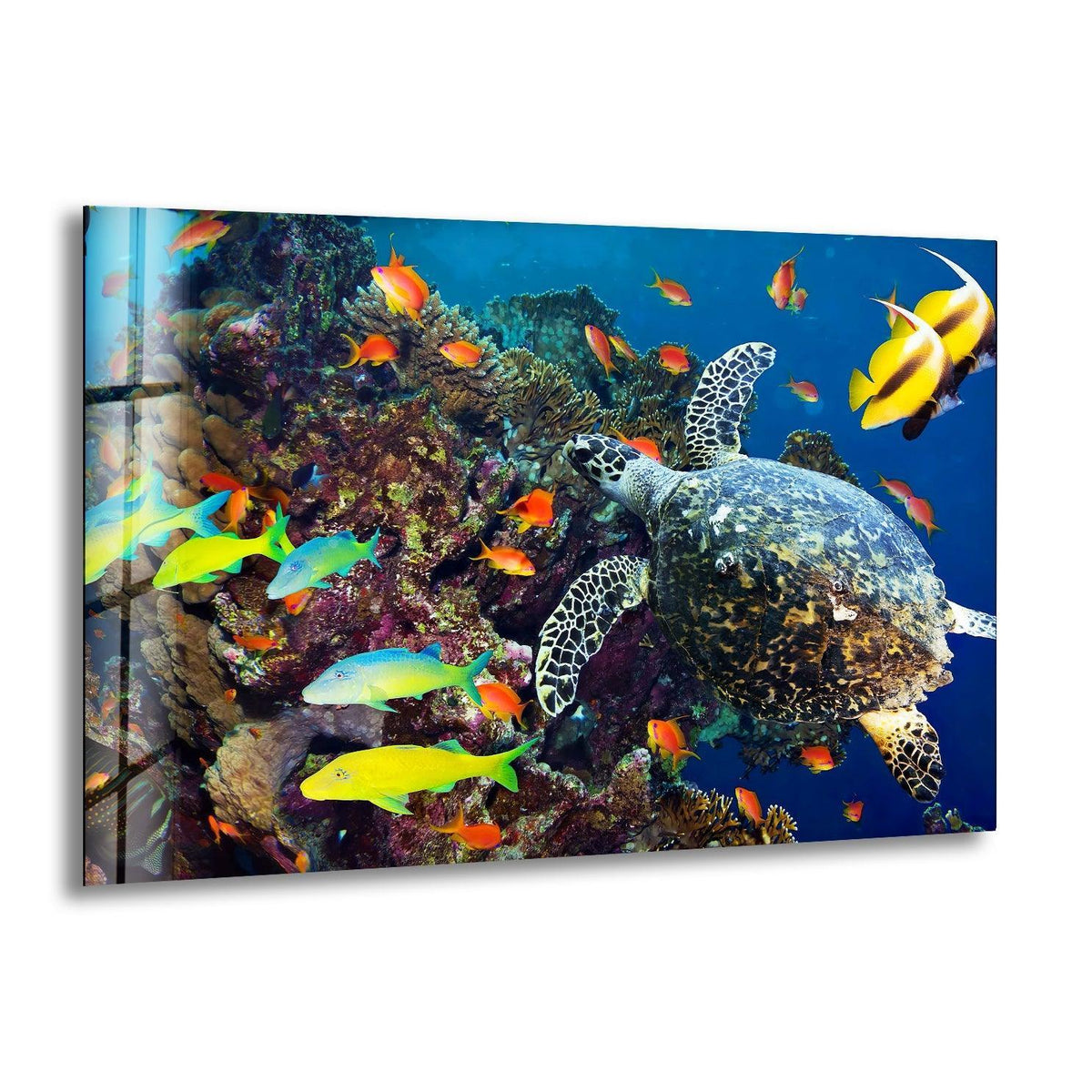 Sunlight pierces the depths, illuminating a sea turtle and vibrant fish amidst coral shadows in this striking wall art print.
