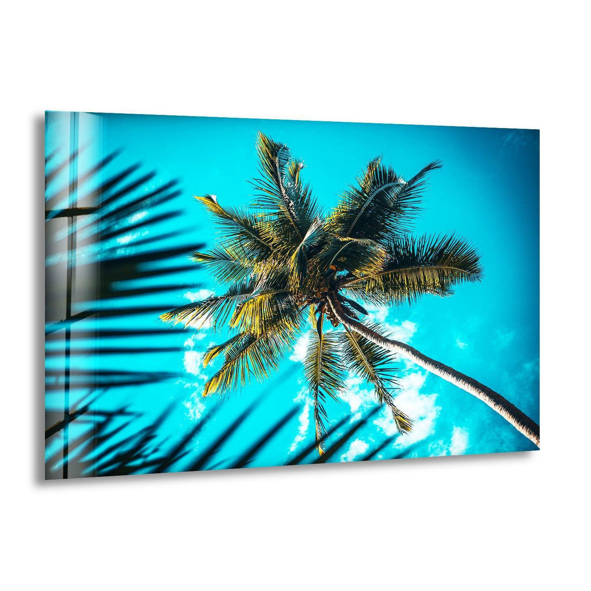 Dominating the view, vivid azure skies amplify the tropical green palm tree in this piece of tempered glass wall art, capturing the essence of a breezy paradise.