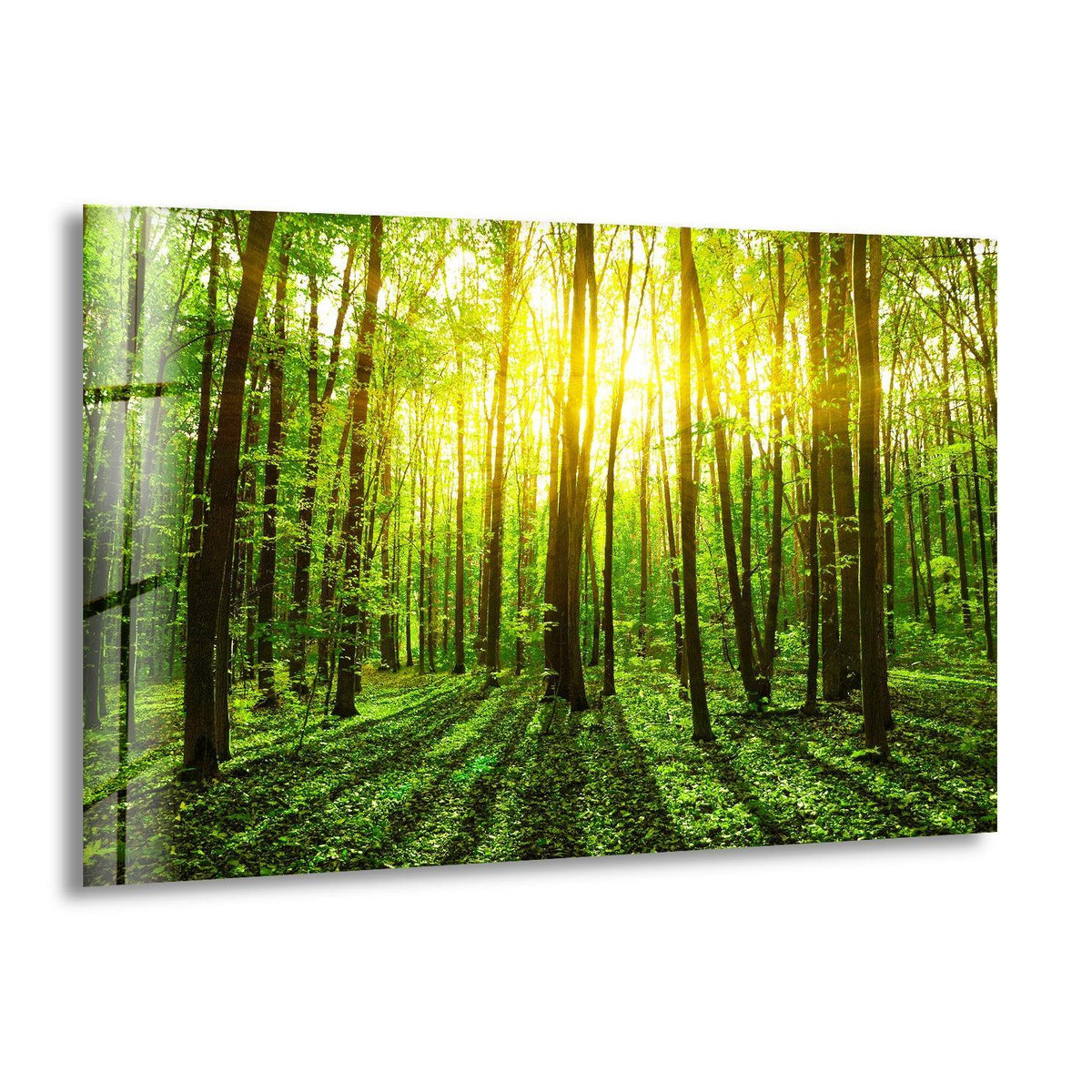 Warm color temperature radiates from the sunshine forest landscape glass art painting, creating a vibrant glow through the lush green forest trees.