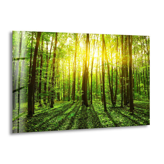 Sunshine Forest Landscape Glass Wall Art shows a bright forest landscape and is nature artwork and wall art that brings sunlit forest themes indoors