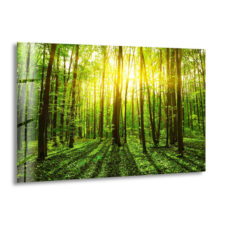 Nature art prints capturing the essence of wilderness and tranquility with artistic precision

