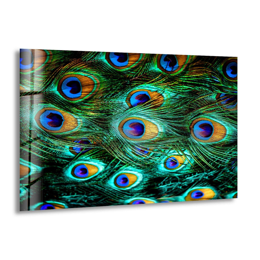 Green Peacock Feathers Glass Printing Wall Arts