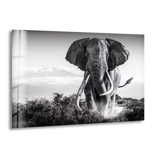 The animal is elephant glass wall art showing an old elephant running and a powerful wildlife motif to bring nature to your space and elevate wall decor