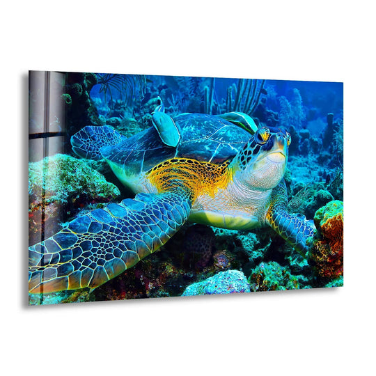 A majestic sea turtle in dark underwater coral caves as decorative wall art.