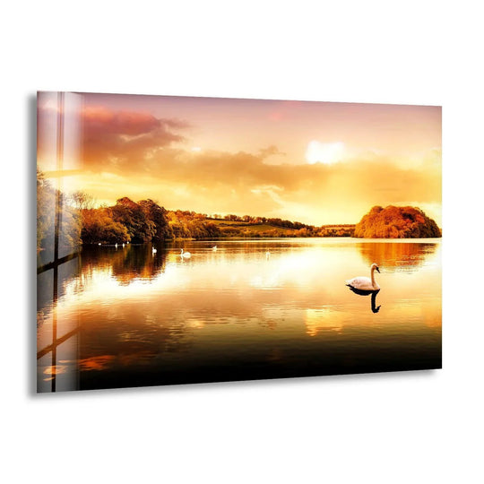 Smooth surface texture emphasizes the lake's glassy sheen in this Golden Sunset Lake with Swan glass wall prints, enhancing the tranquil nature scene.