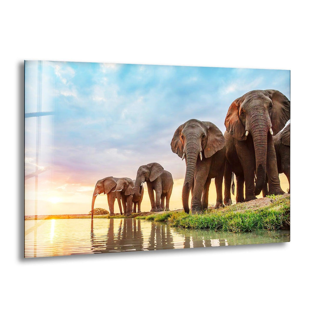 Safari Elephant Group Glass Wall Art photo print on glass, prints on glass wall art