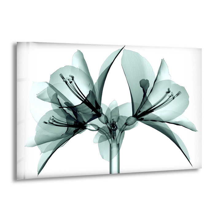 Röntgenblumen-Wandkunst aus Glas