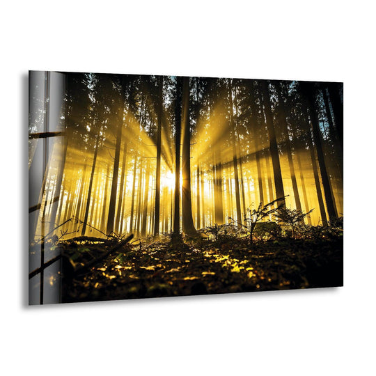 Landscape photos for sale showcasing stunning vistas and picturesque views of the natural world
