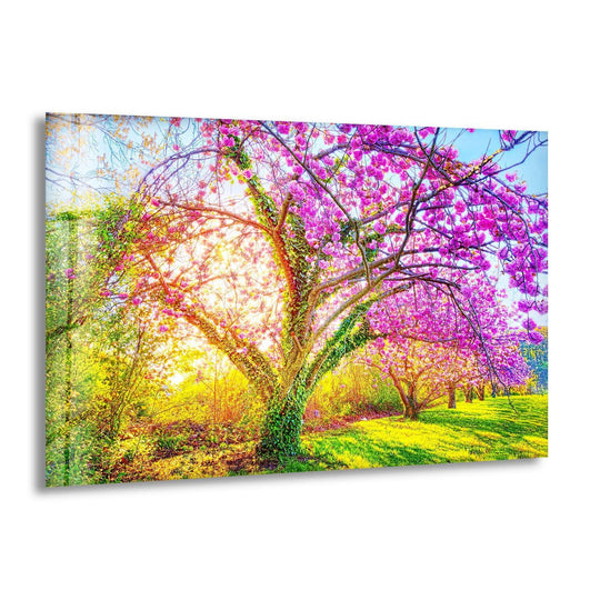 Bathed in sunlight, the print wall art highlights the cherry blossom glass wall art with its softest petals in hues of pink against the vibrant green.