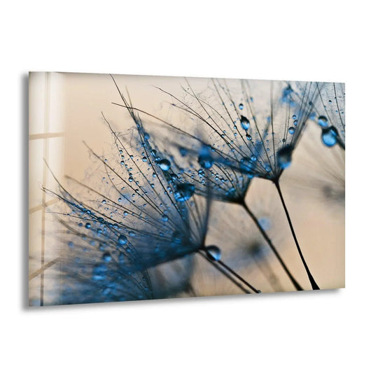 Blue Dandelion Flower Glass Wall Art - MyPhotoStation