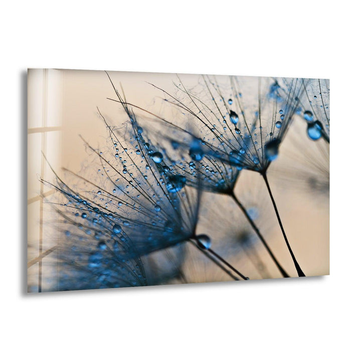 Blaue Pusteblumen-Wandkunst aus Glas