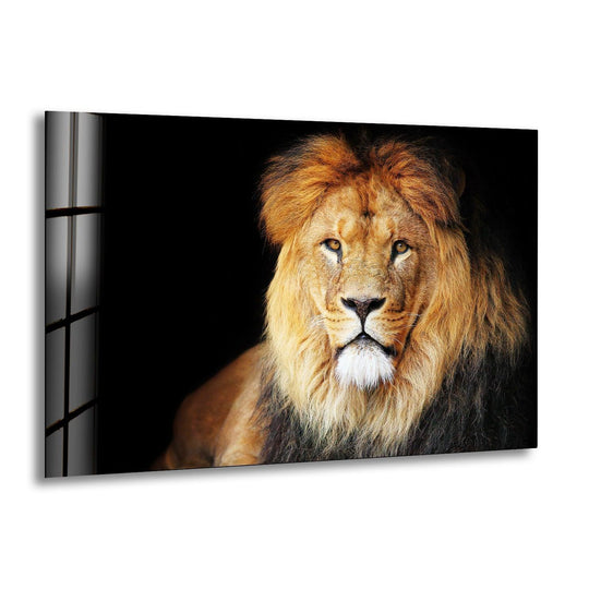 Old Lion Glass Wall Art glass photo prints, glass picture prints