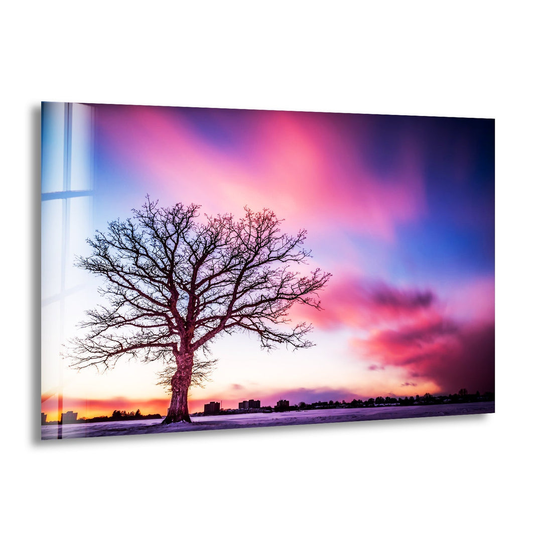 A stunning glass wall art featuring a lone tree against a vibrant sunset sky.
