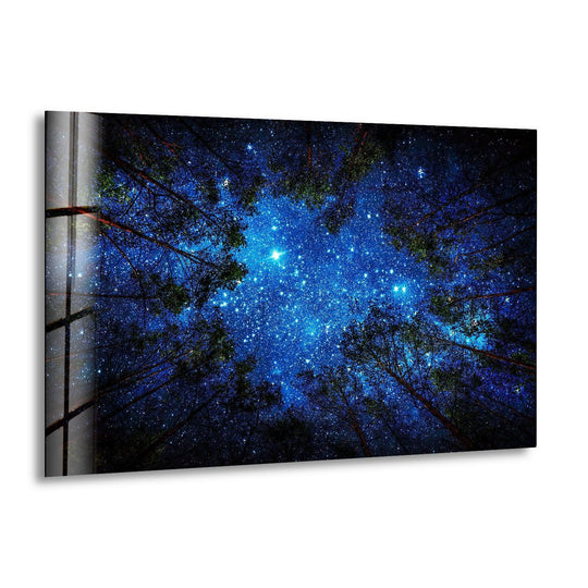Space Wall Art featuring stars and trees is night sky glass wall art and glass photo prints with night photo print