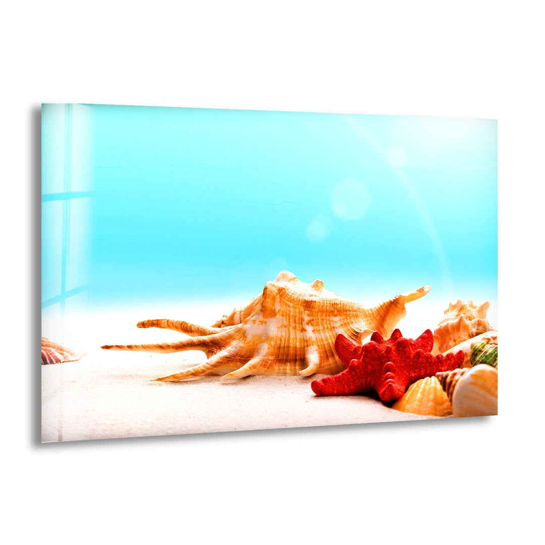 A close-up of seashells and a red starfish on golden sand with a bright blue sky in the background.
