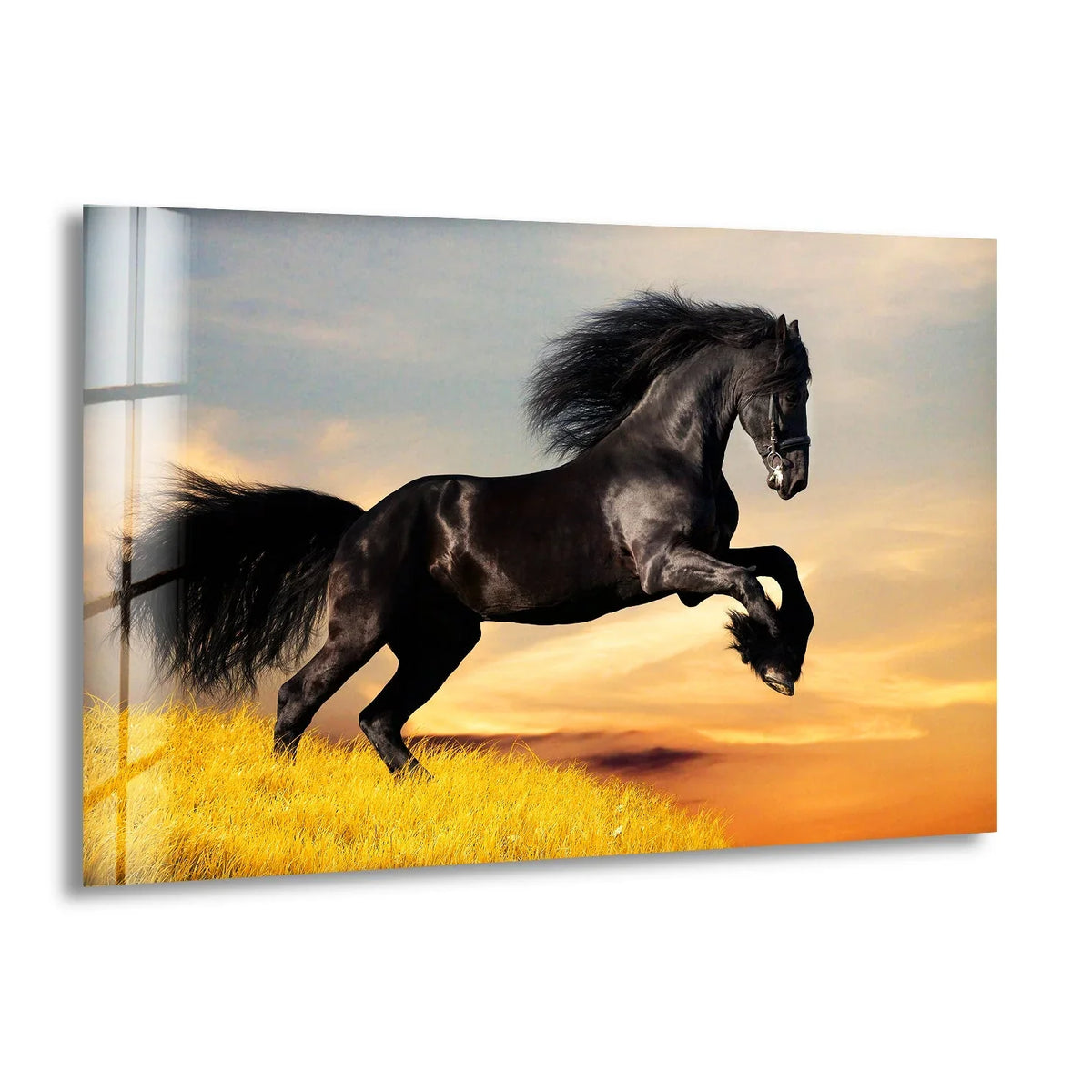 Brightest golden grasses and sunset sky surround a powerful black horse in this decorative wall art.