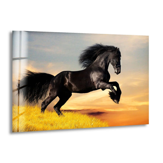Animal glass wall art black horse in midair with glossy finish and Big Black Horse Wall Art plus dynamic beauty