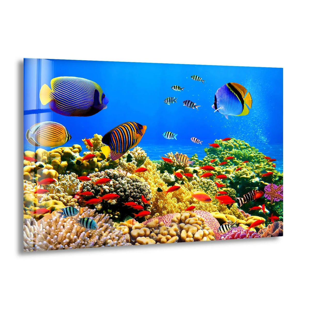 A vibrant underwater scene of tropical fish swimming among the organic forms of colorful coral, depicted as unique modern wall decor.