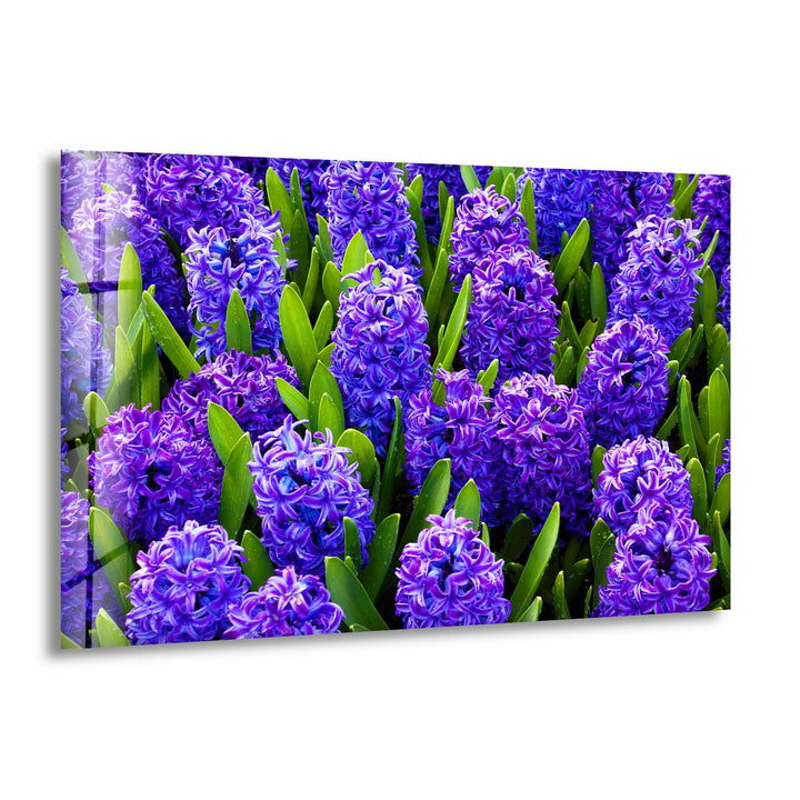 Hyacinth Flower in Garden Glass Wall Art stained glass wall art, stained glass wall decor