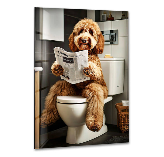 Textured fur of a fluffy labradoodle dog reading a newspaper on a toilet, rendered as glass wall art.
