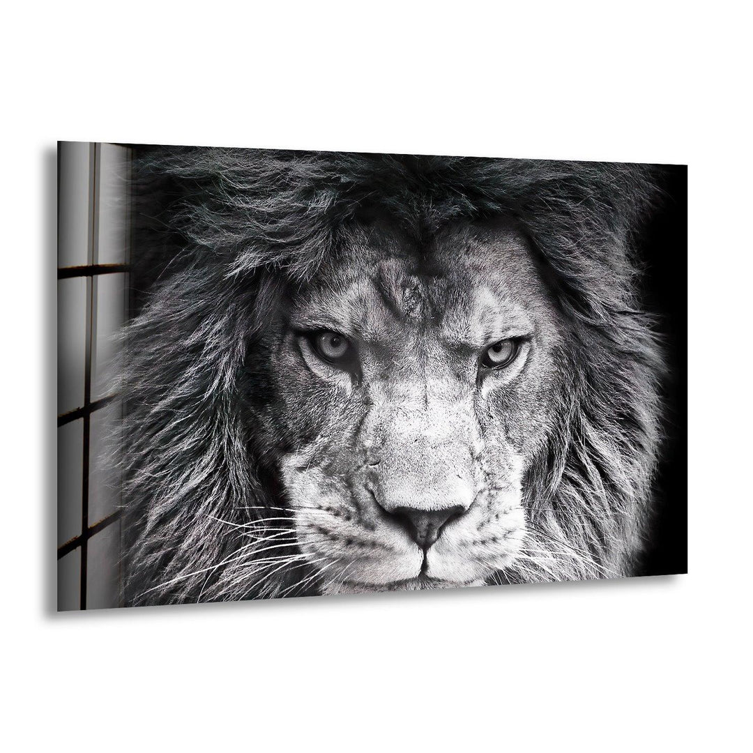Intense black and white lion portrait with detailed mane featured on modern glass wall art.