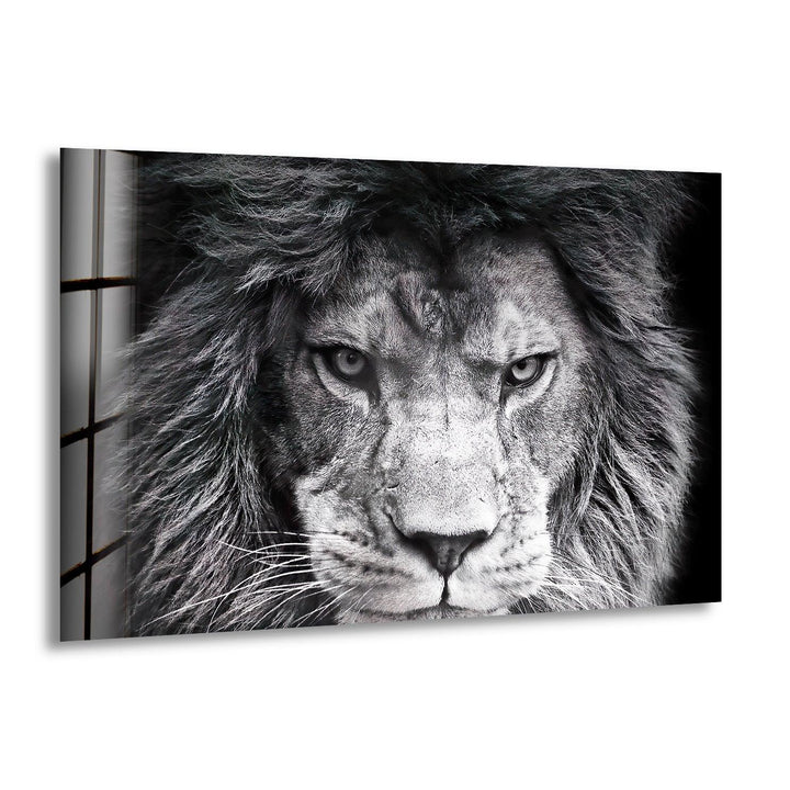 Intense black and white lion portrait with detailed mane featured on modern glass wall art.