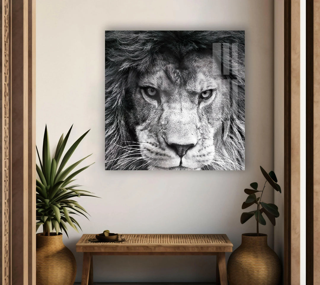 Majestic lion portrait in high-contrast monochrome as a striking glass wall centerpiece.
