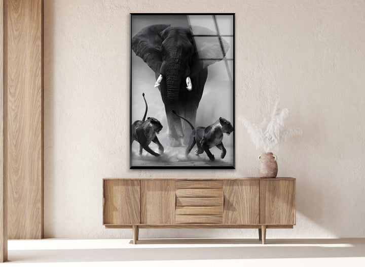 High-contrast wildlife glass print of a charging elephant and two lions in motion.