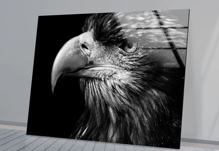 Black and white eagle artwork with detailed beak and feathers printed on sleek glass.