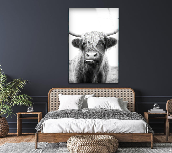 Monochrome Highland cow artwork on tempered glass showcasing its textured fur and expressive face.