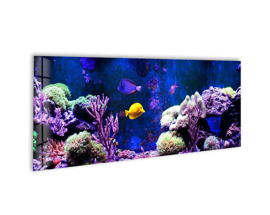 Marine, Blue Aquarium Glass Wall Art, large glass photo prints, glass wall photos
