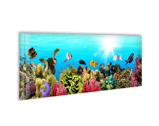 Marine Fishes glass wall art showcases a vibrant underwater scene and colorful coral reefs with a sea turtle and schools of fish and bright sunlight above the ocean floor