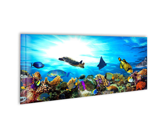 Ocean Life glass wall art showcases a vibrant underwater scene and colorful fish and a sea turtle among coral reefs and sunbeams a stunning panoramic statement wall art