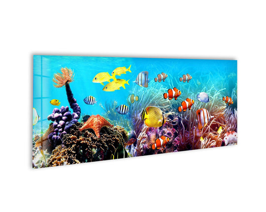 Undersea Tropical Fishes glass wall art showcases vibrant clownfish and yellow tangs among coral and is a stunning panoramic ocean inspired modern wall decor and large wall art for a living room