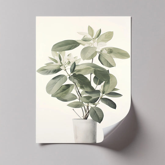 Tranquil Magnolia in Vase – Soft Botanical Canvas Print - MyPhotoStation