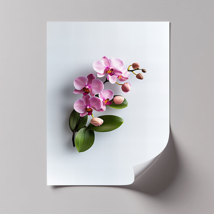 Delicate Orchid Flowers – botanical art canvas print

