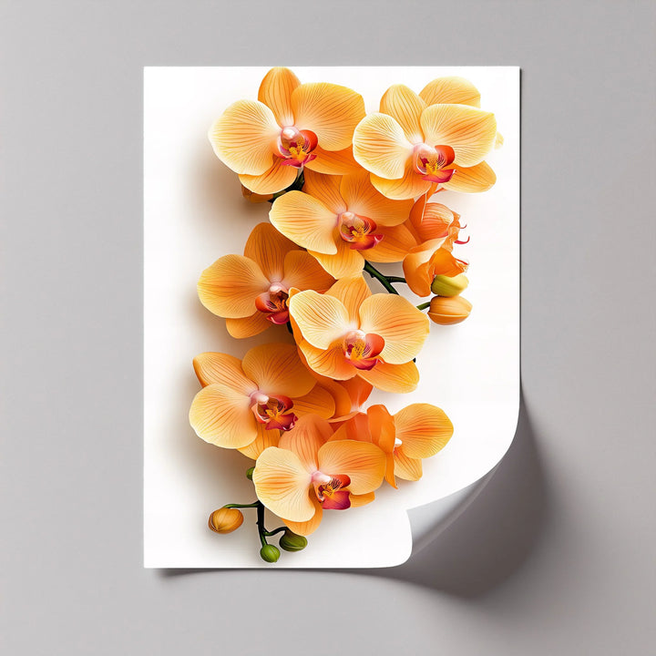 Golden Orchid Radiance – Orange Phalaenopsis Floral Canvas Print - MyPhotoStation