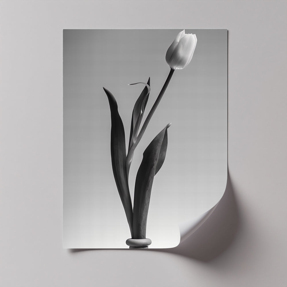 Bring serene beauty to your home with this monochrome canvas print of a single tulip in bloom.

