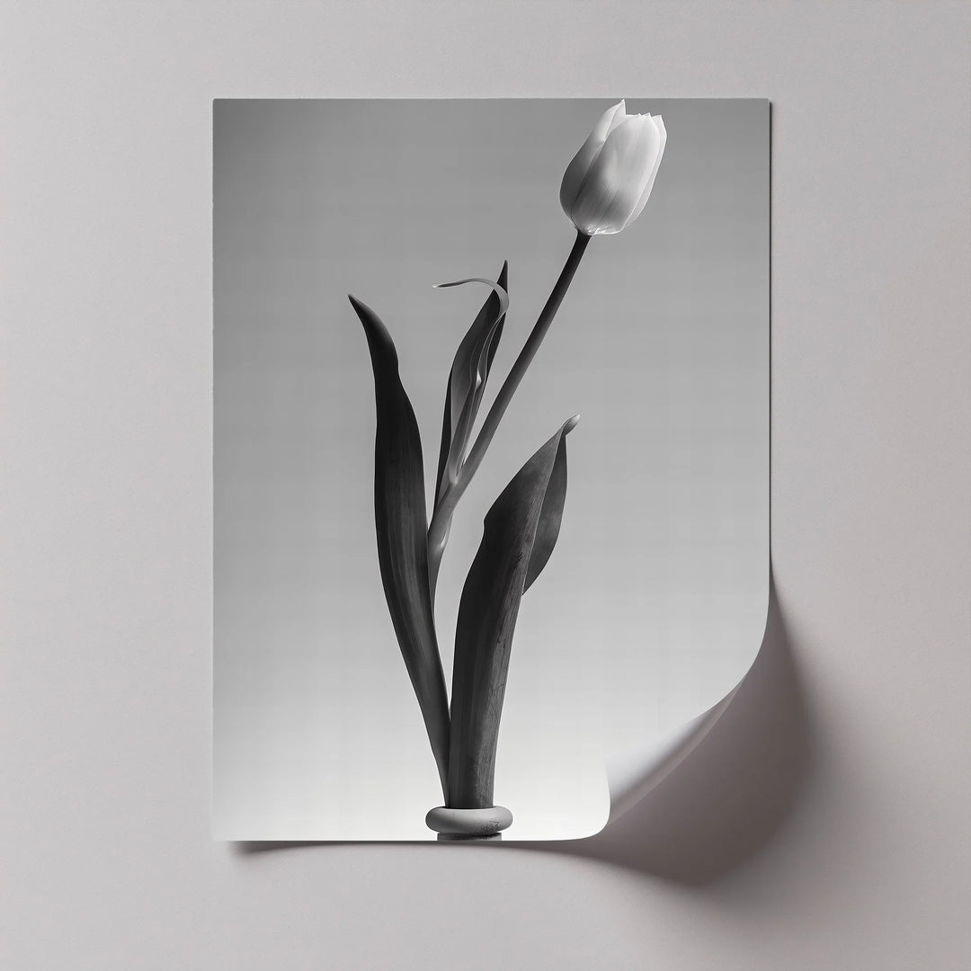Bring serene beauty to your home with this monochrome canvas print of a single tulip in bloom.

