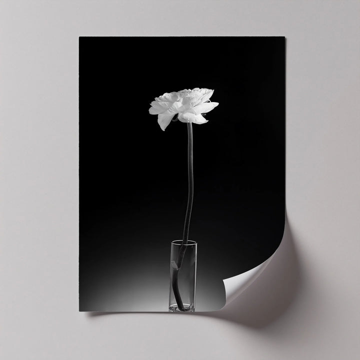 Solitary Grace – White Flower in Vase Canvas Prints - MyPhotoStation