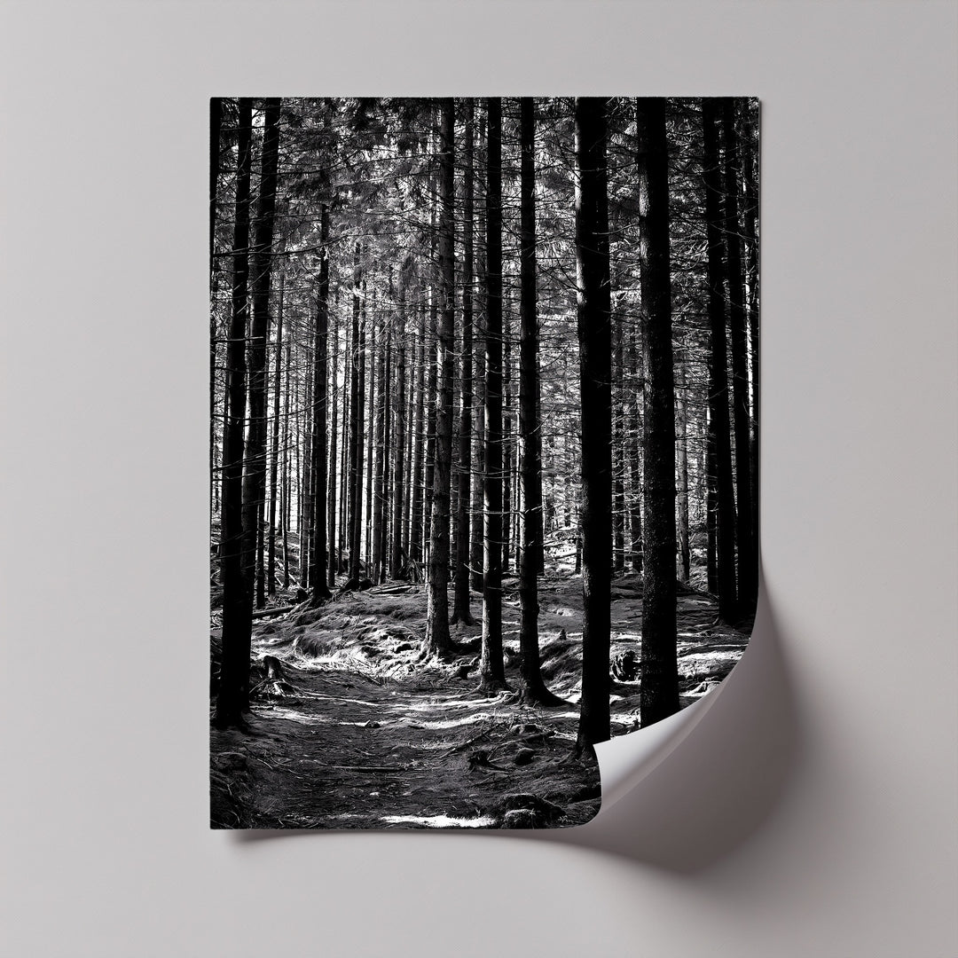 Bring woodland mystique into your home with this dramatic, textured canvas painting.

