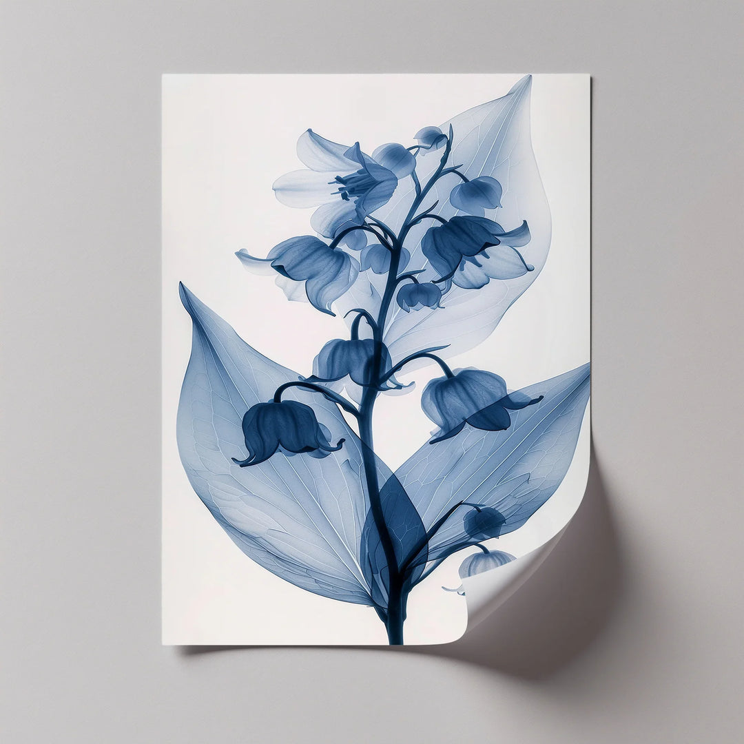 Translucent Lily Elegance – X-Ray Floral Study Blue Canvas Prints - MyPhotoStation