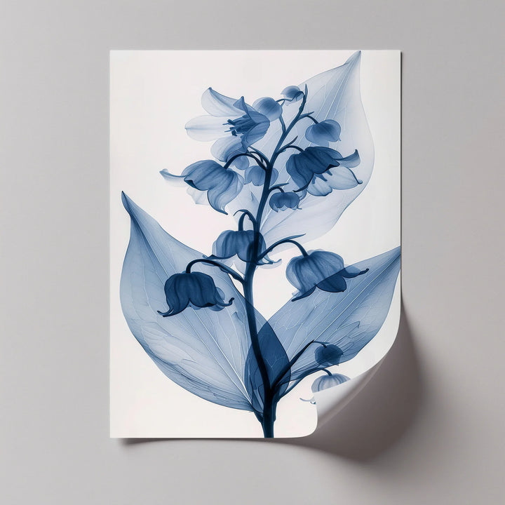 Translucent Lily Elegance – X-Ray Floral Study Blue Canvas Prints - MyPhotoStation