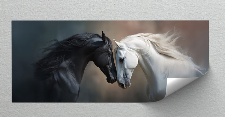 Unity of Opposites – Black and White Horses Canvas Print