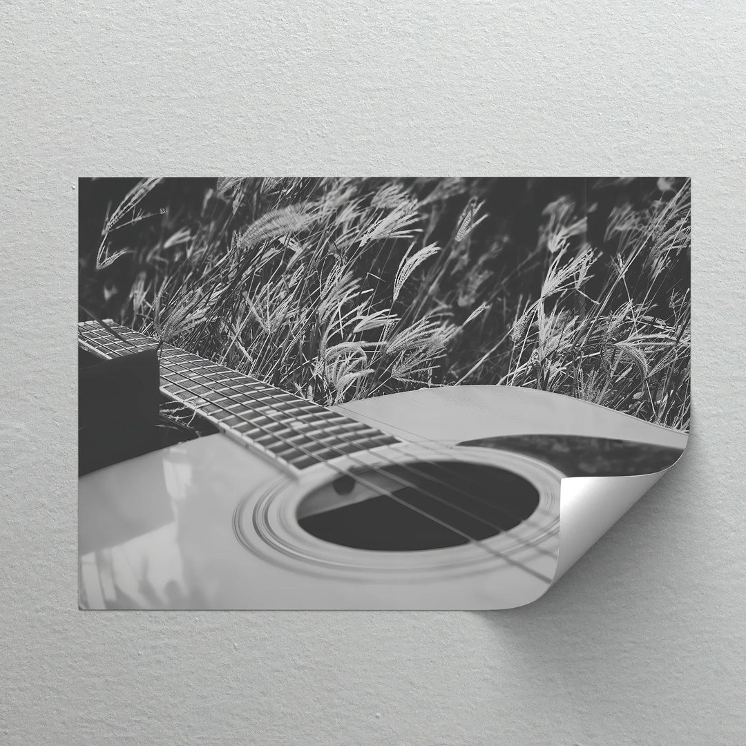 Acoustic Guitar in Field – Black and White Nature Music Canvas Prints - MyPhotoStation