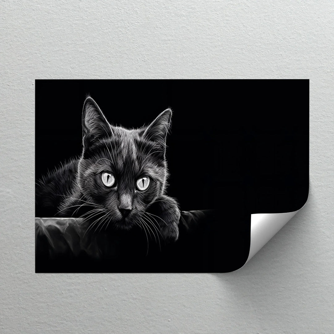 Midnight Gaze – Black Cat in Monochrome Shadow Cat Canvas Print - MyPhotoStation