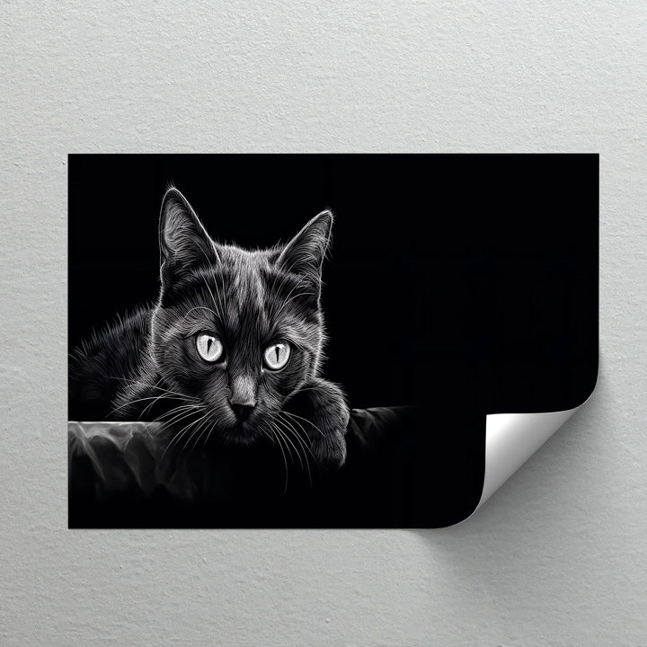 Midnight Gaze – Black Cat in Monochrome Shadow Cat Canvas Print - MyPhotoStation