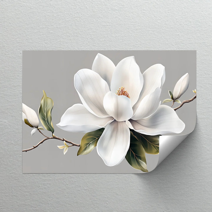 Timeless Magnolia – neutral tone floral canvas for living room.

